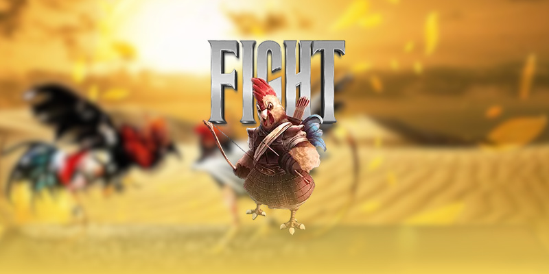 Discover Cockfighting – The Ultimate Entertainment at ALO789 2 image 9